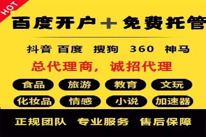 某电商平台的SEM竞价专员成功案例分享